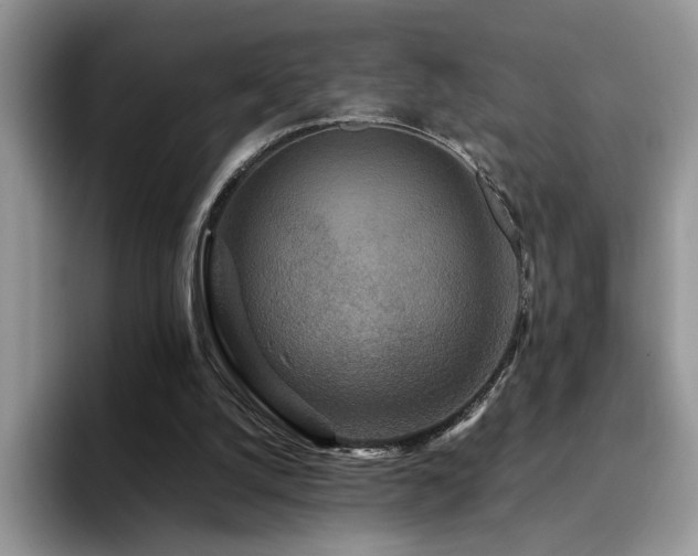 X0000094950056200711291421