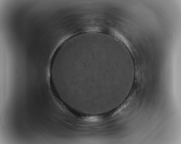 X0000094950059200711291421