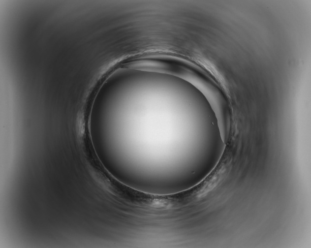 X0000094950060200711291422