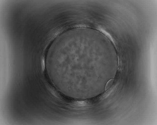 X0000094950061200711291422