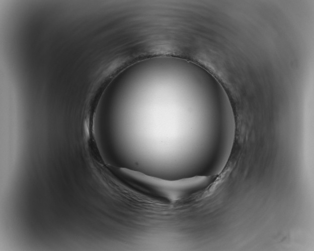 X0000094950062200711291422