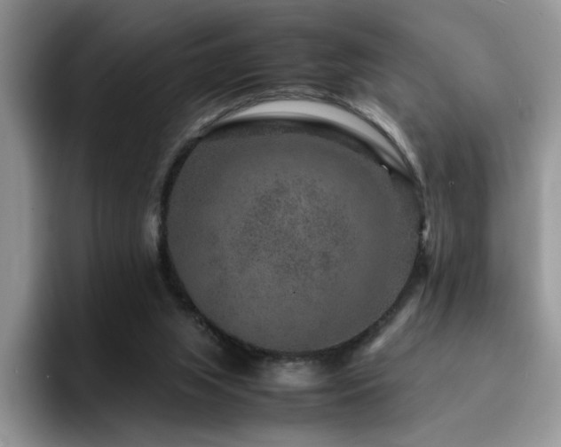 X0000094950063200711291422