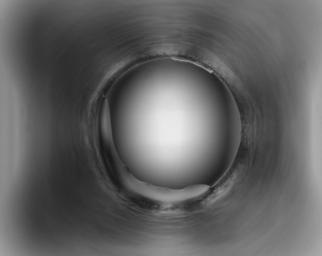 X0000094950064200711291422