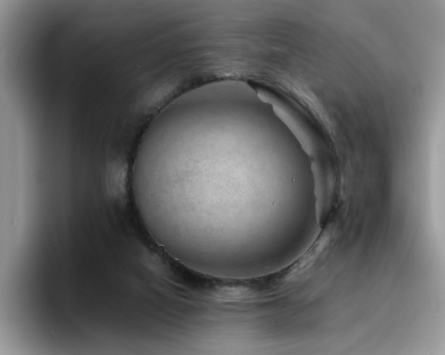 X0000094950066200711291422