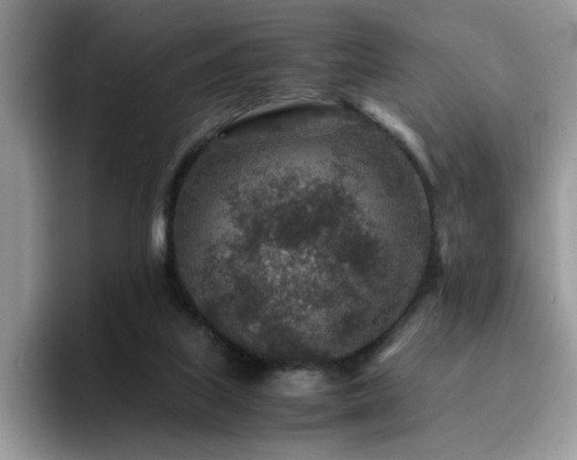 X0000094950067200711291422