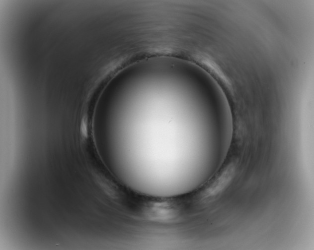 X0000094950068200711291422