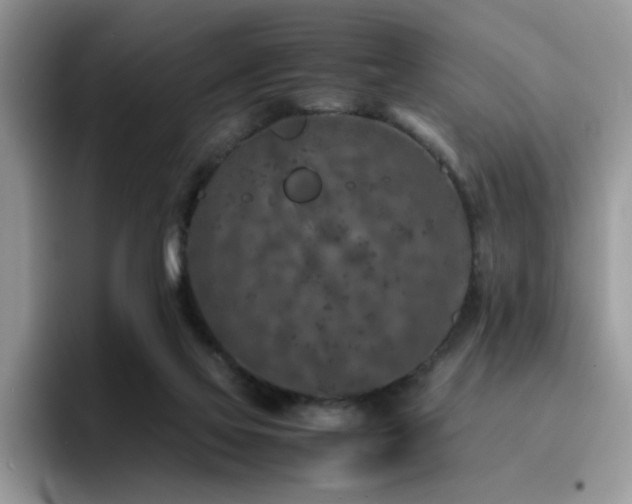 X0000094950069200711291422