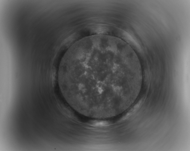 X0000094950073200711291422