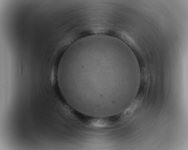 X0000094950074200711291422