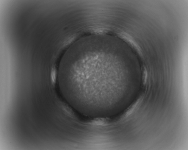 X0000094950076200711291422