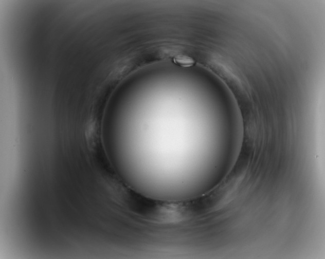 X0000094950079200711291422