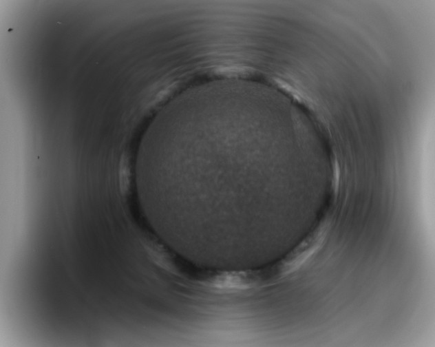 X0000094950080200711291422