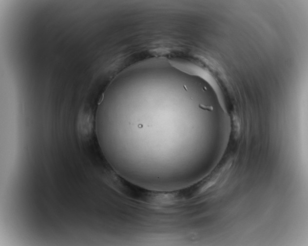 X0000094950081200711291422