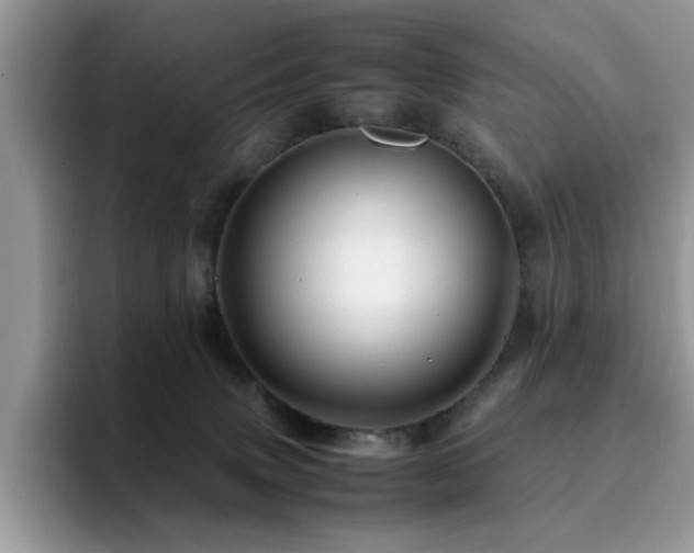 X0000094950083200711291422