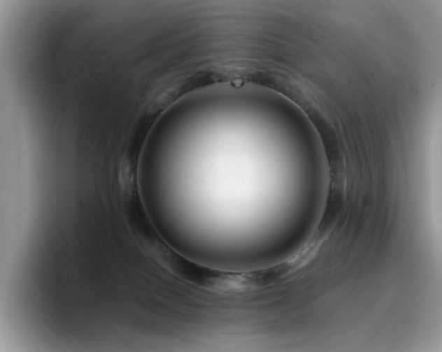 X0000094950086200711291422