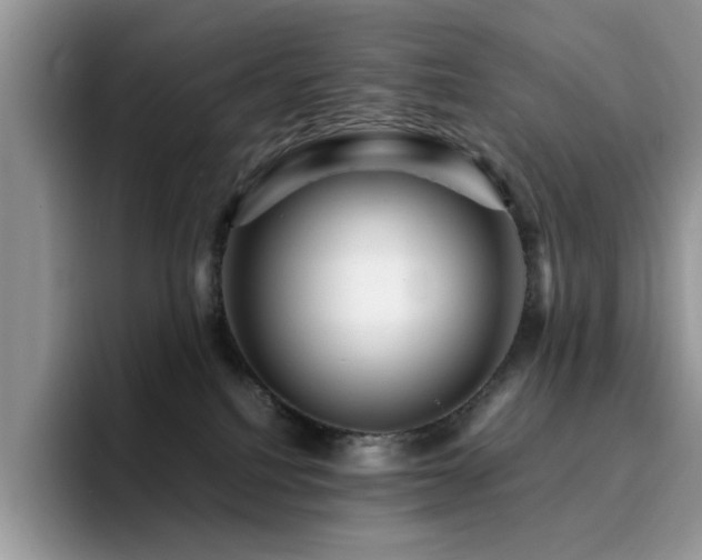 X0000094950088200711291422