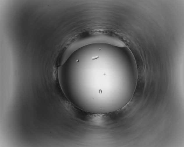 X0000094950090200711291422