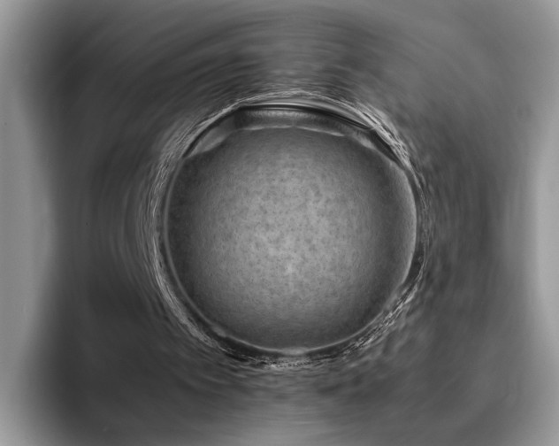 X0000094950097200711291421