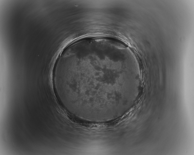 X0000094950099200711291421