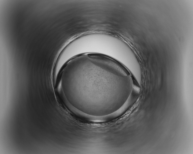 X0000094950100200711291421