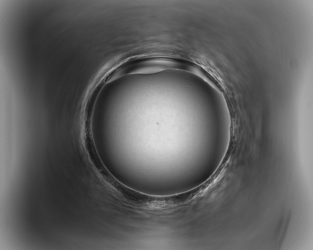 X0000094950101200711291421