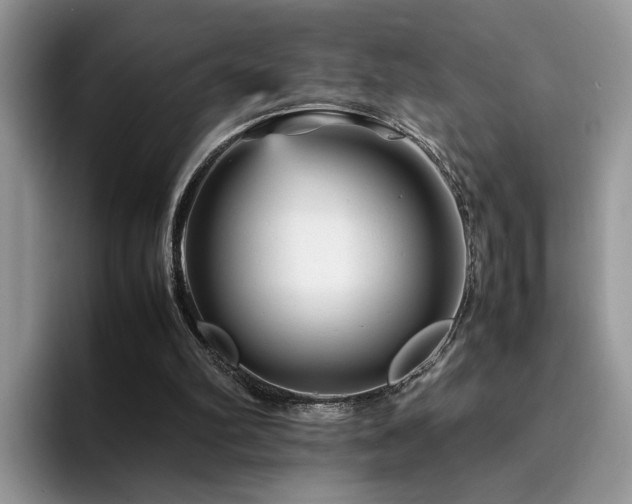 X0000094950102200711291421