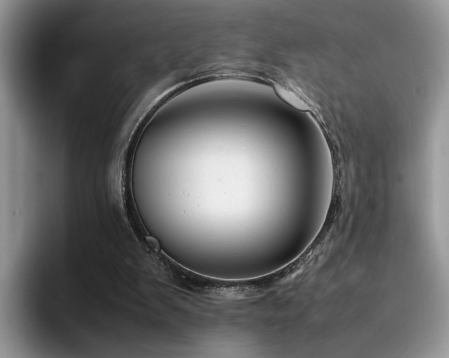 X0000094950103200711291421