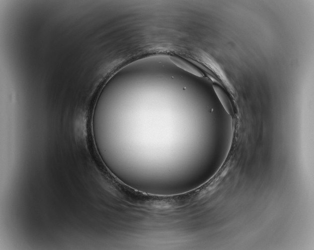 X0000094950106200711291421