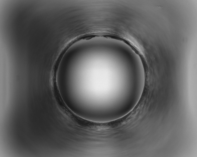 X0000094950107200711291421