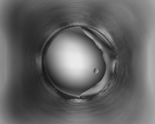 X0000094950108200711291421