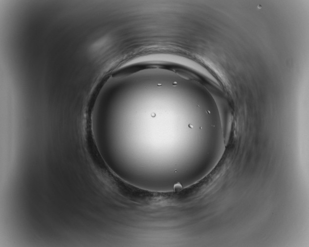 X0000094950111200711291421