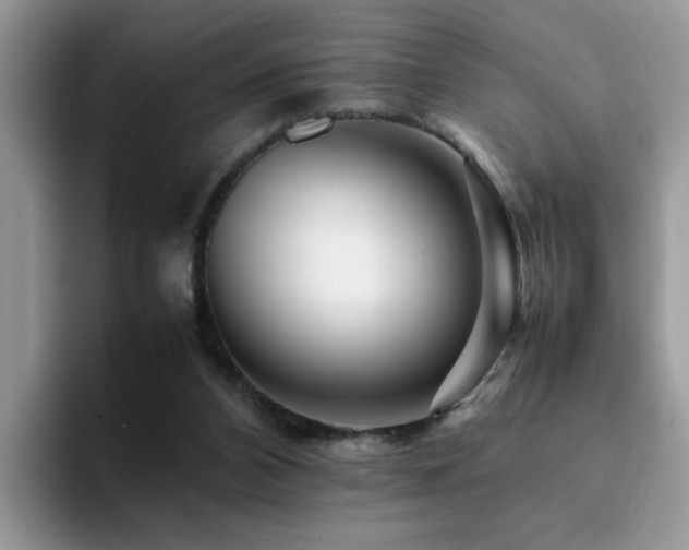 X0000094950112200711291421