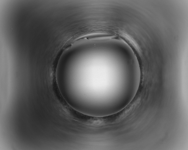 X0000094950113200711291421