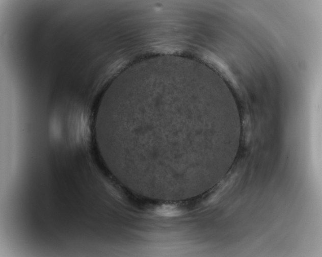 X0000094950114200711291421