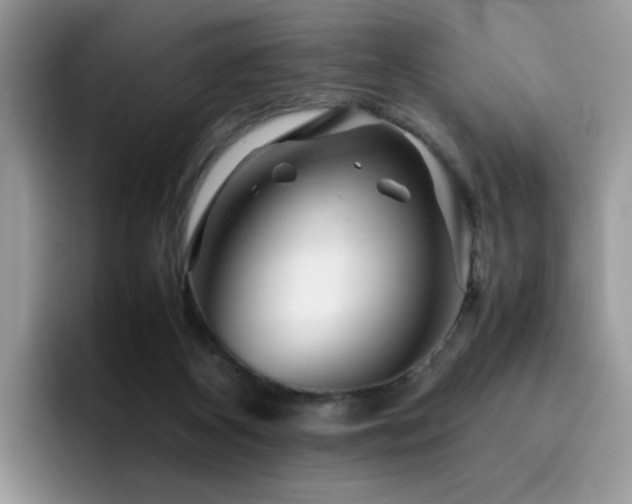 X0000094950116200711291421