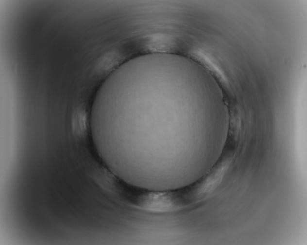 X0000094950117200711291421