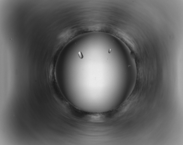 X0000094950118200711291421