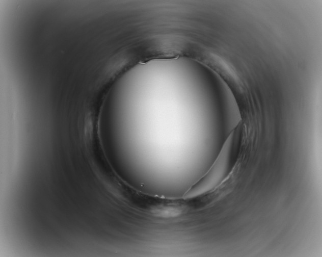 X0000094950120200711291421