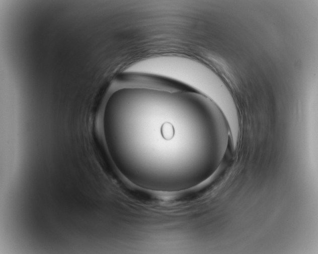 X0000094950121200711291421