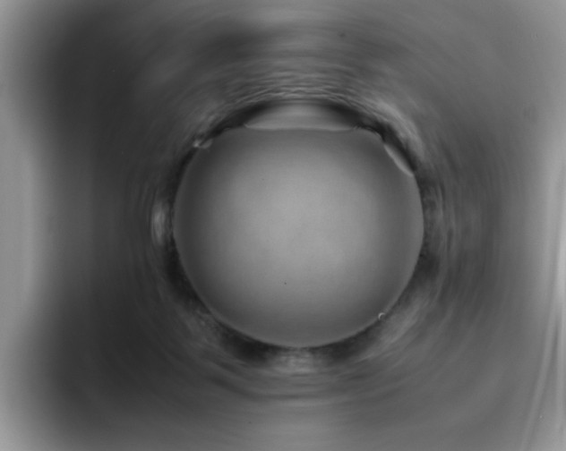 X0000094950123200711291421