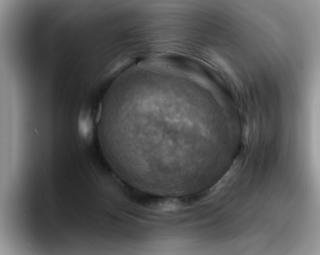 X0000094950124200711291421