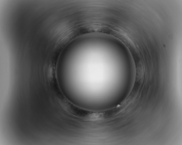 X0000094950126200711291421