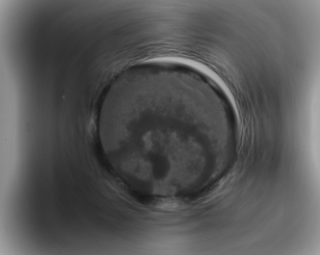 X0000094950127200711291421