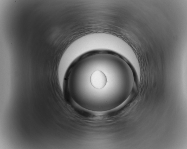 X0000094950129200711291421