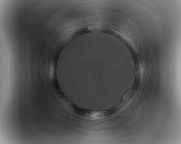 X0000094950130200711291421