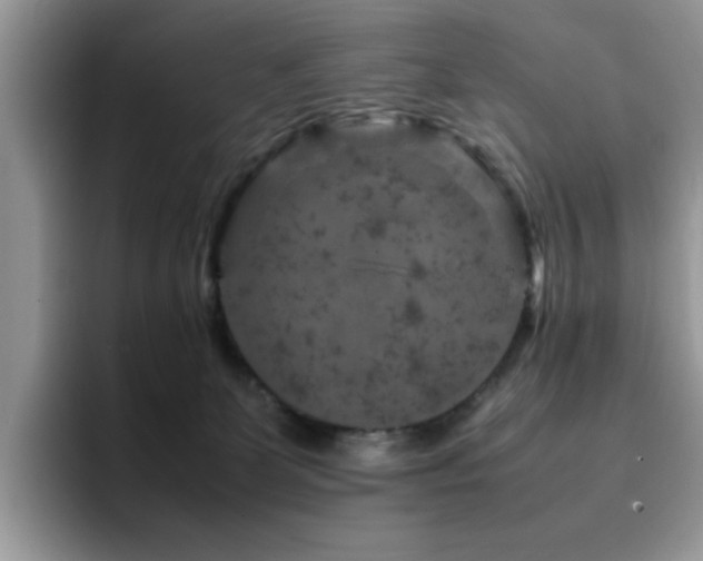 X0000094950131200711291421