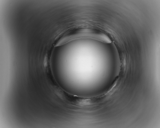 X0000094950132200711291421