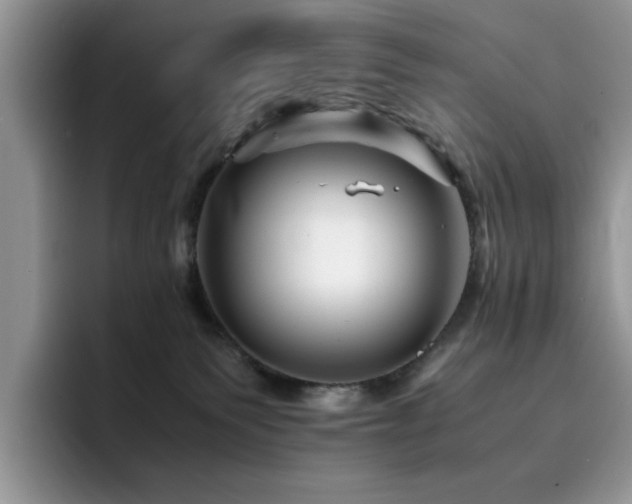 X0000094950135200711291421