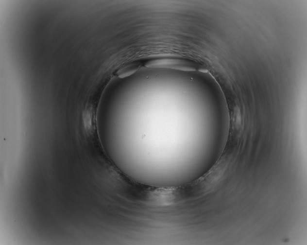 X0000094950138200711291421