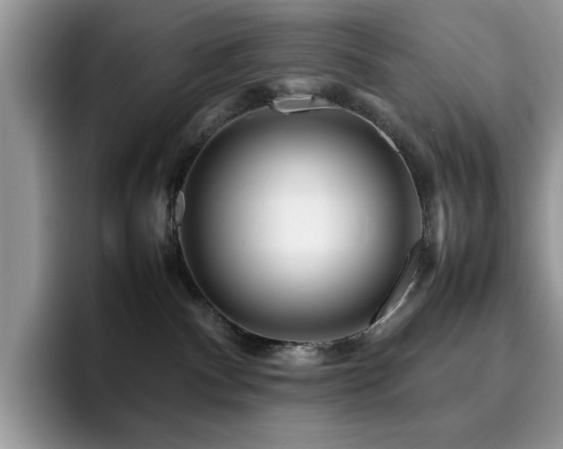 X0000094950140200711291421